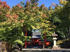 -天龙寺