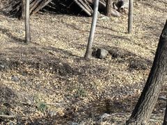 -白水寺森林公园