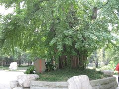 -成都市活水公园