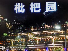 -枇杷园食为鲜火锅(南山店)