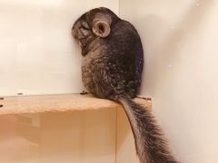 -龙猫仔乐园(惠福东路店)