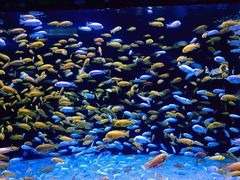 -成都浩海立方海洋公园