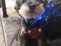 -康乐宝动物医院