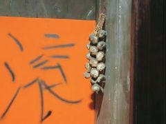 -E+有冰工厂·昆仑寒宫2(五角场店)