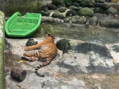 -海南热带野生动植物园