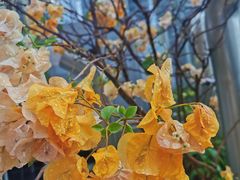 -blend咖啡部落(卓悦中心店)