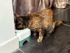 -EATALIA意塔利意式餐厅(鼓楼店)