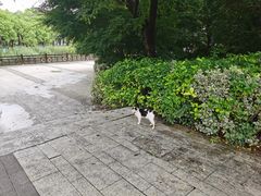 -石湖景区