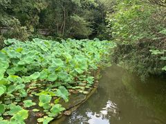 -成都杜甫草堂博物馆