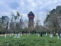 -塔子山公园