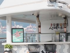 -招商蛇口邮轮母港(观光客运)