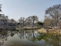 -元大都城垣遗址公园
