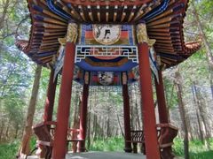 -渡海小渔村.老辈日照菜