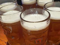 -宝莱纳啤酒花园餐厅PAULANER BRAUHAUS Nanjing(广州路店)