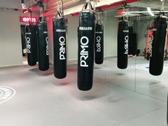 -花环泰拳·勒德斯拉泰拳馆(静安店)