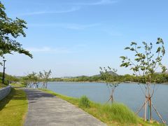 -羊山湖公园