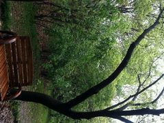 android_upload_pic-同里国家湿地公园