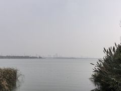 -漕湖湿地公园
