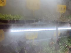 -重庆高老九火锅(万象城店)