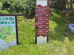 -广州白江湖森林公园