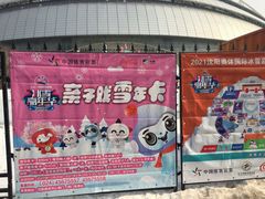 -沈阳奥体冰雪嘉年华