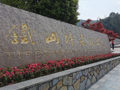 -铁山坪森林公园