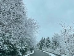 -武陵山森林公园