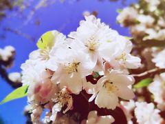 -锦小馆(安贞店)