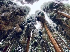 -九峰山