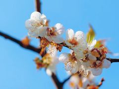 -广州市流溪河国家森林公园