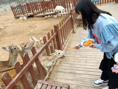 -西安秦岭野生动物园