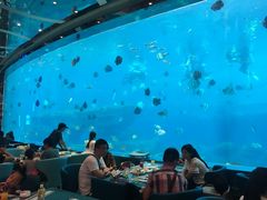 -瑞德姆美人鱼海底演艺主题餐厅(亚龙湾店)