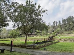 -唐崖土司城遗址