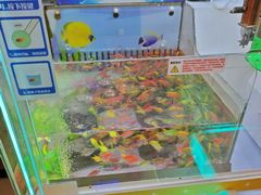 -天虹购物中心(深圳龙华店)