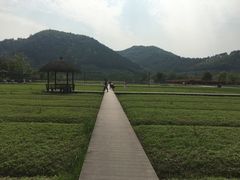 -径山花海