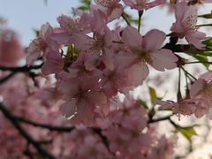 -COSTA COFFEE(上海虹口公园店)