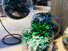 -谷莠子花艺气球派对·绿植造景·花艺沙龙(东海缤纷天地店)