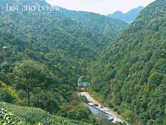-午潮山国家森林公园