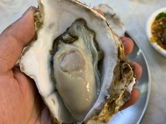 -冯姐生蚝(长隆横琴店)