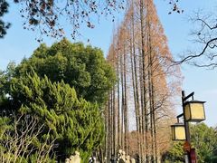 -上海醉白池公园