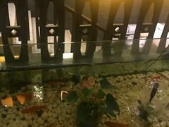 -樱蘭·影院足道·养生SPA(三里屯店)