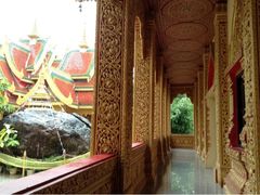 环境-西双版纳勐泐文化旅游区