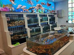 -海悦汇•闽菜•蒸汽海鲜(合景峰汇商务广场店)