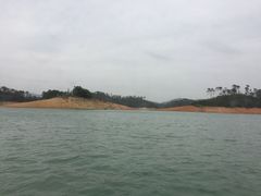 -广州市流溪河国家森林公园