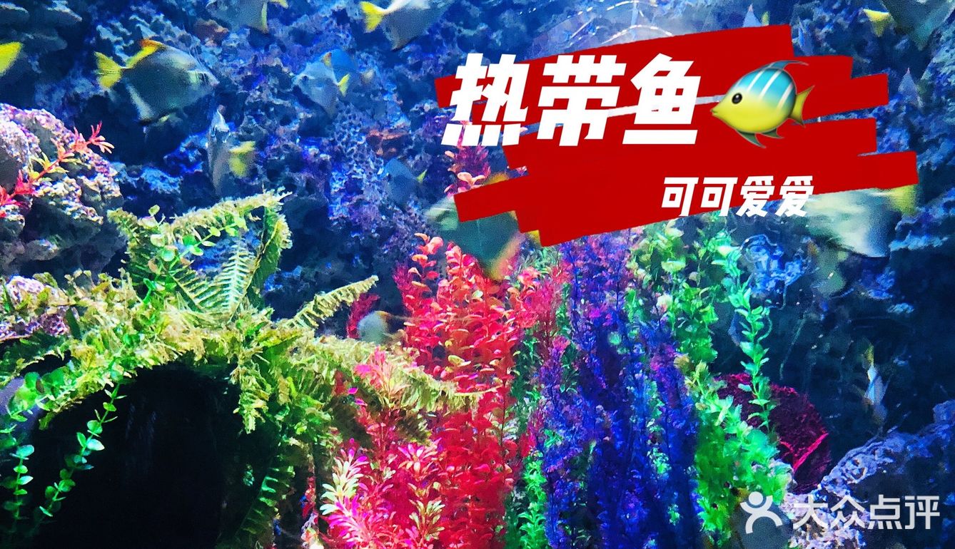 🐬🐬夏日遛娃好去处～青岛海昌极地海洋公园