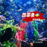 🐬🐬夏日遛娃好去处～青岛海昌极地海洋公园