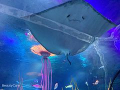 -沈阳海洋探索中心