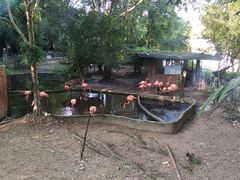 -清迈夜间动物园