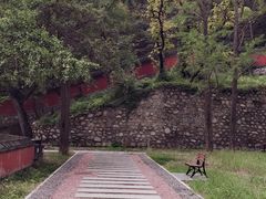 -北京鹫峰国家森林公园