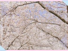 -龙美术馆(西岸馆)
